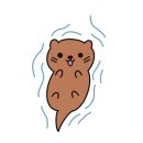 짐 화이트하우스 이미지