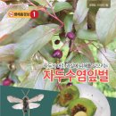 전남식물병원 머니투데이