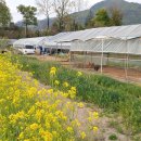 1004농장 이미지