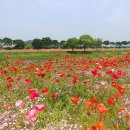 믿거나 말거나?......尹대통령 &#34;부동산 연착륙·주거약자 부담완화 방안 강구&#34; 지시 이미지