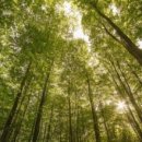 경희궁삼성정신건강의학과의원 이미지