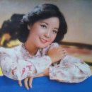 1995년 鄧麗君病逝，台灣間諜，此事當真？; 덩리쥔 서세, 곡정문 준장(1 star ), 이미지