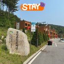 숲체원 | 소상공인 산림치유프로그램 국립춘천숲체원 1박 2일 후기