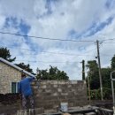 자파리203 이미지