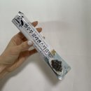 스페스코리아