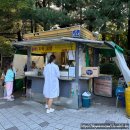 (주)아워홈SBS탄현점 | [일산/탄현동간식]'호떡생각' 길거리 겨울 간식 추천 블루아로니아호떡