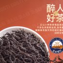 코스티(COSTI) 이미지