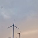 털보수산물 네이버블로그