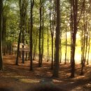 에코리조트 이미지