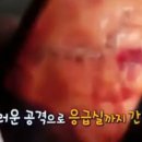 배은농장 네이버블로그