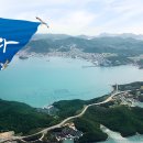 완도11호 이미지