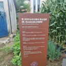 목도 | 괴산여행 100년 넘게 운영 중인 목도양조장 드라마촬영지 후기