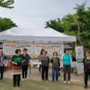 힐링마켓 이미지