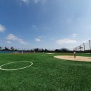 대정생활야구장 이미지