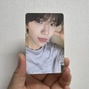쿠리 | ⭐️NCT WISH⭐️ 위시돌 쿠리, 팡이 예판 구매 후기🐿🐼