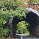 포레스트 리솜 이미지