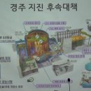 국내 현안 I: '지진과 원전 안전-월성 2~4호기를 중심으로' 이미지