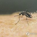 (주)지카 이미지