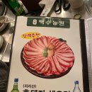 부산 수영구 고기집 &#39;백수농원&#39; 솔직 후기｜도토리묵과 흑돼지 생오겹의 환상 조합