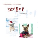 꼬실이 티스토리