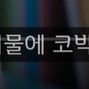 예영상사