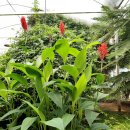 일영랜드 이미지