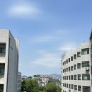 블루미르 이미지