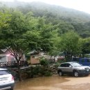 사단법인 양산학춤보존회 이미지