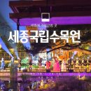 세종 가볼만한 곳 - 국립 세종 수목원 매주 금·토 야간 개장 오픈 !