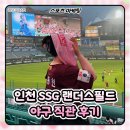 역전의마케팅 | 마케팅] 인천 SSG 랜더스필드 야구 직관 간단 후기 (키움 vs SSG) with 시야 명당 카페 '알로하', 크림...