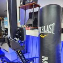 용인대NEW복싱 이미지