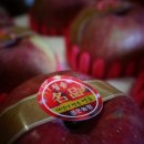 경은농장 이미지