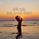 해돋이 이미지