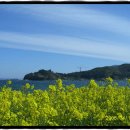 요트경기장 삼거리 이미지