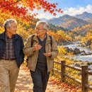 곁에 있는 사람의 빛깔/ 작은 생명을 바라보는 마음 이미지