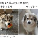월 이미지