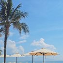 주주실내낚시클럽 | 다낭 하얏트리젠시 세돌 아기랑 수영장, 모래놀이, 키즈클럽 프로그램, 리틀팜 후기