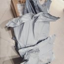 보람 농원 | 주말농장 첫 방문 준비물 | 아들과 함께한 광교 들꽃농원 텃밭 가꾸기 (ft. 모종 심기)