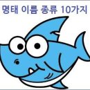 명태의 이름 10가지 이미지