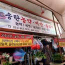 송탄농약플라워 이미지