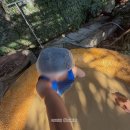 킹콩사우나 | 베트남 푸꾸옥 가볼만한곳 머드스파 마사지 쏙나우 비교 가격 내돈내산