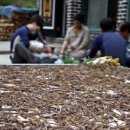 밤재로 이미지