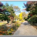 힐링정원 이미지