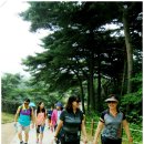 남한산성 청와정 펜션 이미지