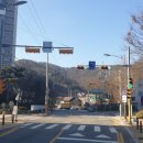 신호등 이미지