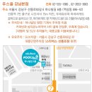 푸스올 이미지