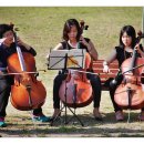 조명박물관 공연장 이미지