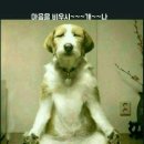 도란도란부동산중개 이미지