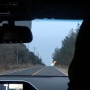 다임정 민박 | (1. 24) 제주에서 쓰는 채식일기2 : 한라산 등반 후기