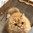 용덕상회 이미지